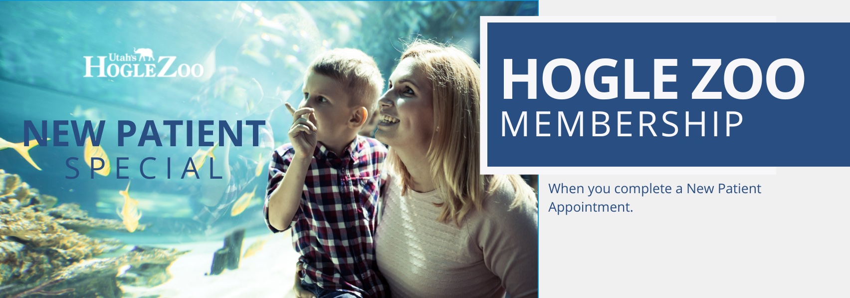 New Patient Specials The Fort Union Dentist